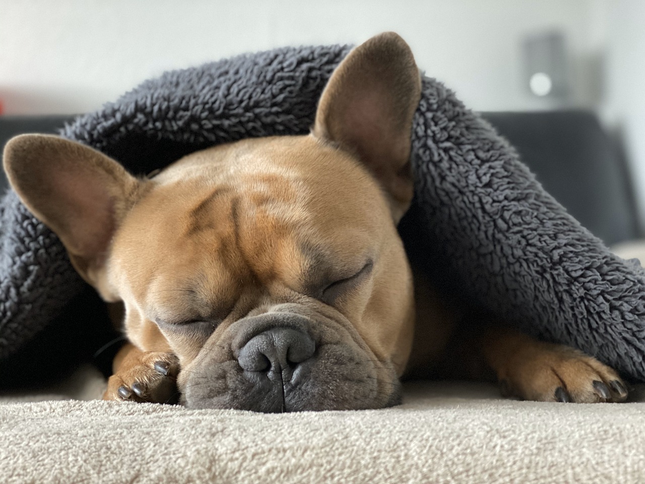 The Power of Sleep: Fueling Productivity in IT and Software Development